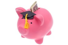 Piggy bank with a graduation cap isolated on white background